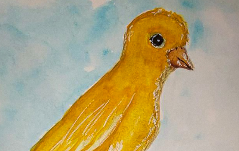 confira nossas dicas para vencer dificuldades na pintura em aquarela