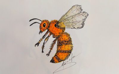 aquarela em brusque 5 curiosidades que vao encantar voce 400x250 - Início