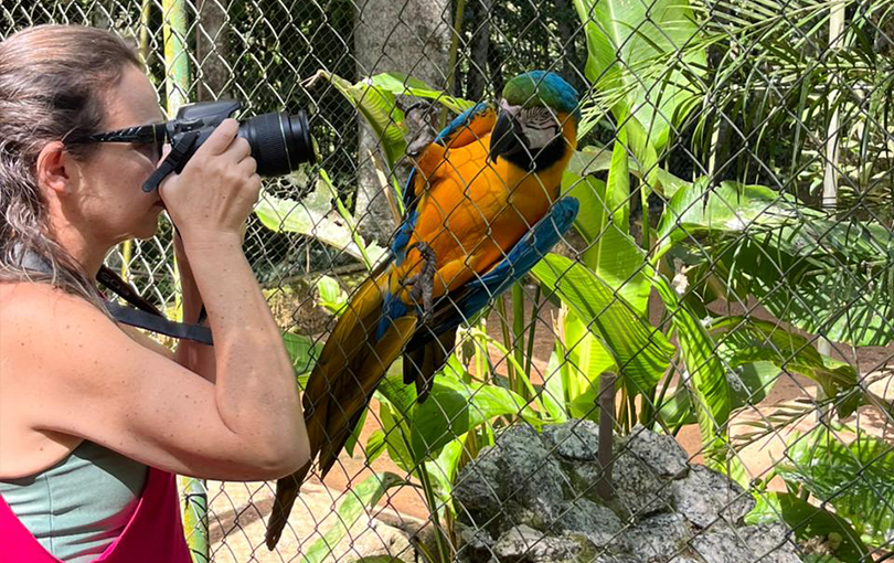iniciar na profissao - Curso de fotografia em Nova Trento: conhe&ccedil;a os passos para iniciar na profiss&atilde;o