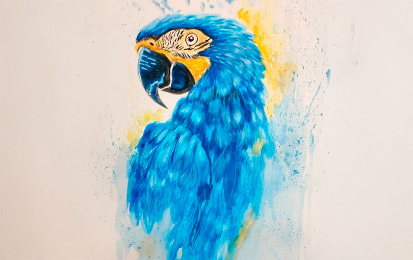 como pintar aquarela - Como pintar com aquarela?