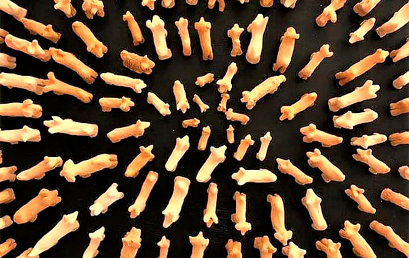 curso de ceramica em brusque passos para iniciar na pratica - Curso de cer&acirc;mica em Brusque: 6 passos para iniciar na pr&aacute;tica